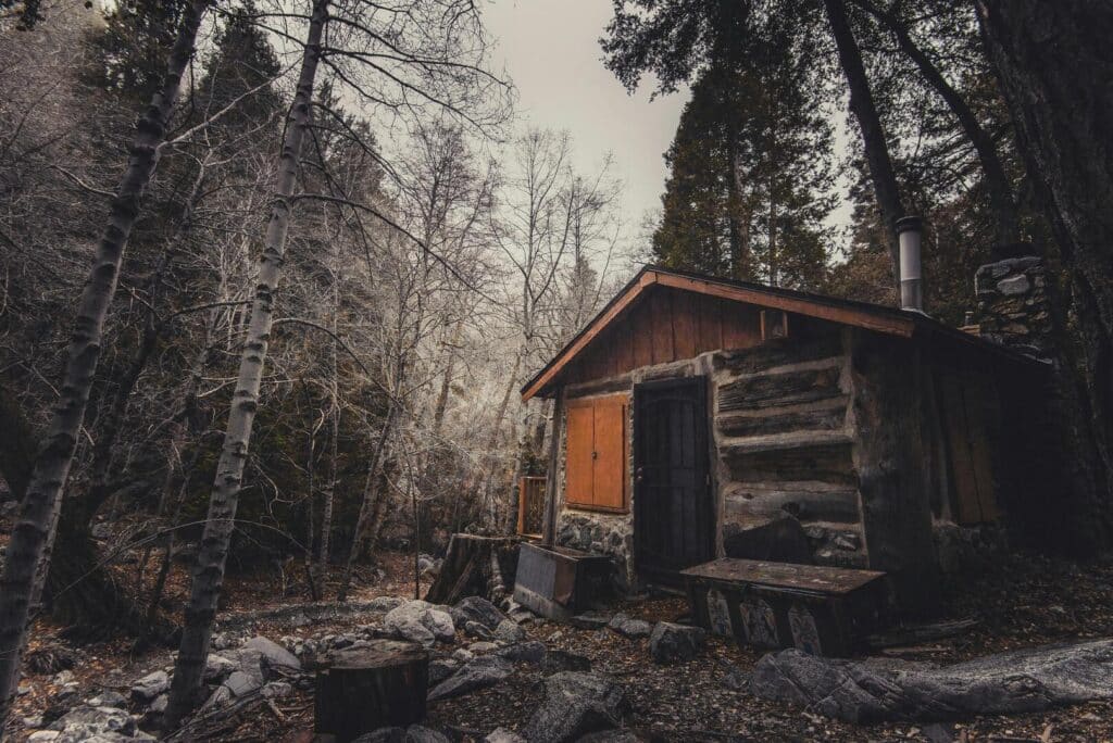 A log cabin, in the middle of the wood, during autumn